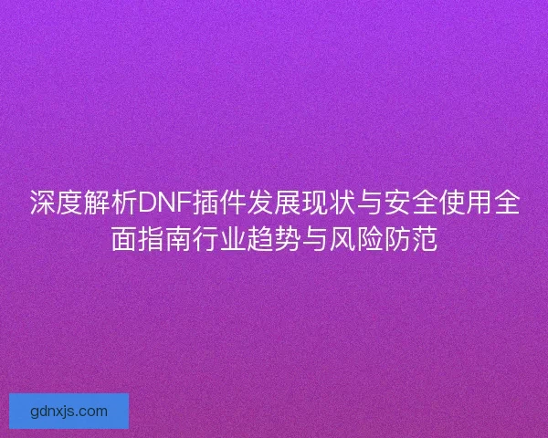 深度解析DNF插件发展现状与安全使用全面指南行业趋势与风险防范
