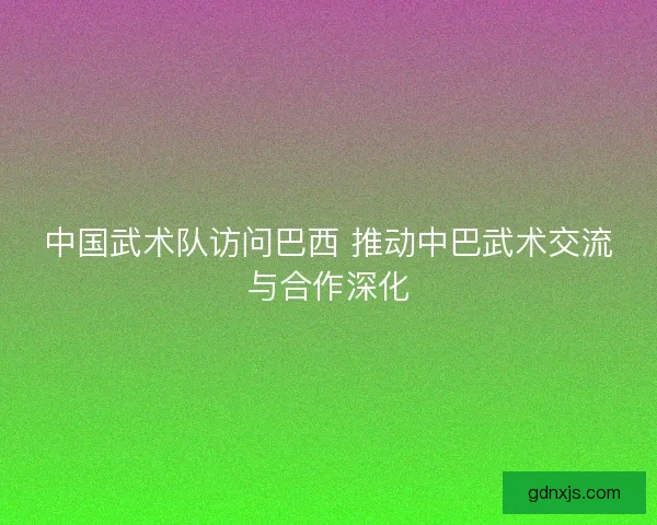中国武术队访问巴西 推动中巴武术交流与合作深化