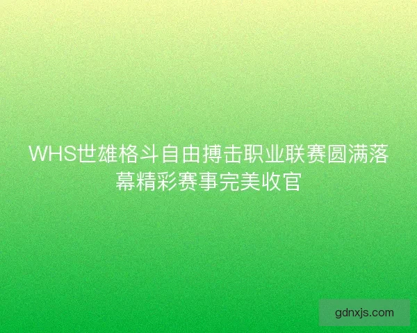WHS世雄格斗自由搏击职业联赛圆满落幕精彩赛事完美收官
