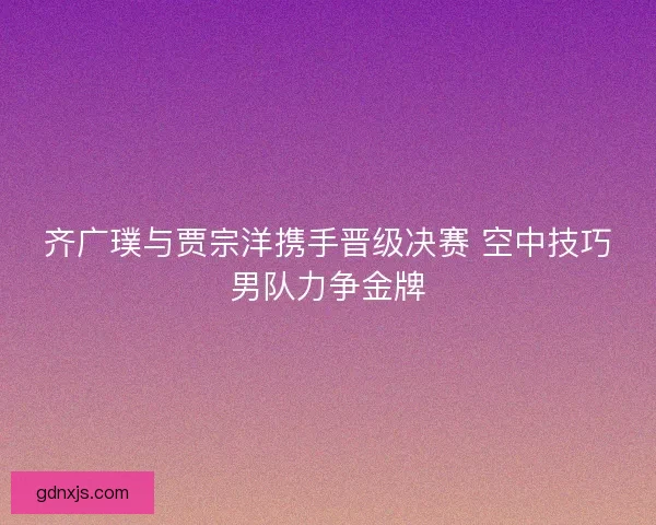 齐广璞与贾宗洋携手晋级决赛 空中技巧男队力争金牌
